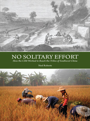 cover image of No Solitary Effort
